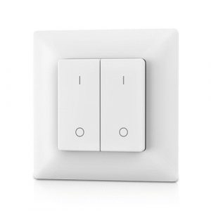 PF1-2 RF Remote Control, Single Color, 2 Zones