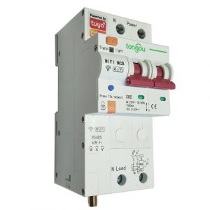 TUYA Smart 2-Pole Circuit Breaker Wi-Fi, RS485, 80A | HS081997