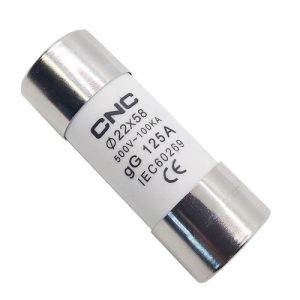 Fuse, 500V, gG 125A, 22x58mm | NV822492