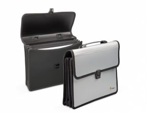 Folder-portfolio Forpus, A4, silver, 3 compartments