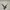 CPK5eFO3YVw9erqmbfFyfPZnsJmdYWwUpKSJUfDK