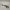 SSr646K5WhsLKO5PRY00LUJtSkLDsJGE2AJ2iUKX