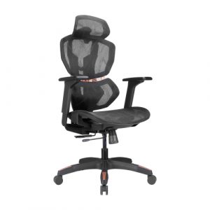 PREMIUM Office chair with Headrest, Lumbar Support and 4D Armrests | HS084707