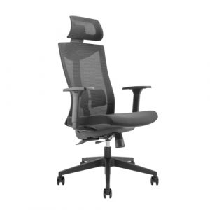 Office Chair with Headrest and Lumbar Support | HS084721