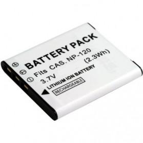 Casio, battery NP-120 | DV00DV1312