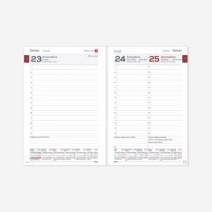 Planning notebook calendar 2026 A5 green