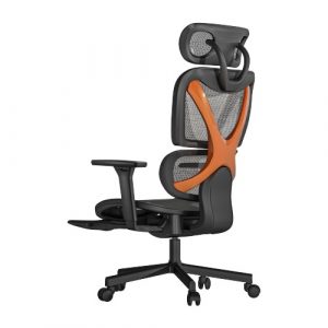 PREMIUM Office Chair with Headrest, Back Support and 3D Armrests | HS084899
