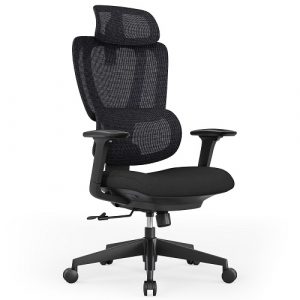 Fully Adjustable Ergonomic Office Chair with Headrest and Lumbar Support | HS084929
